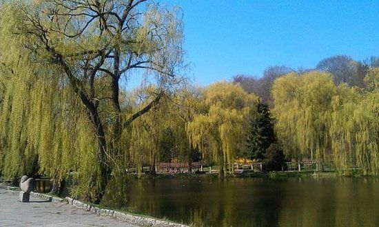 Brama Chlebnicka